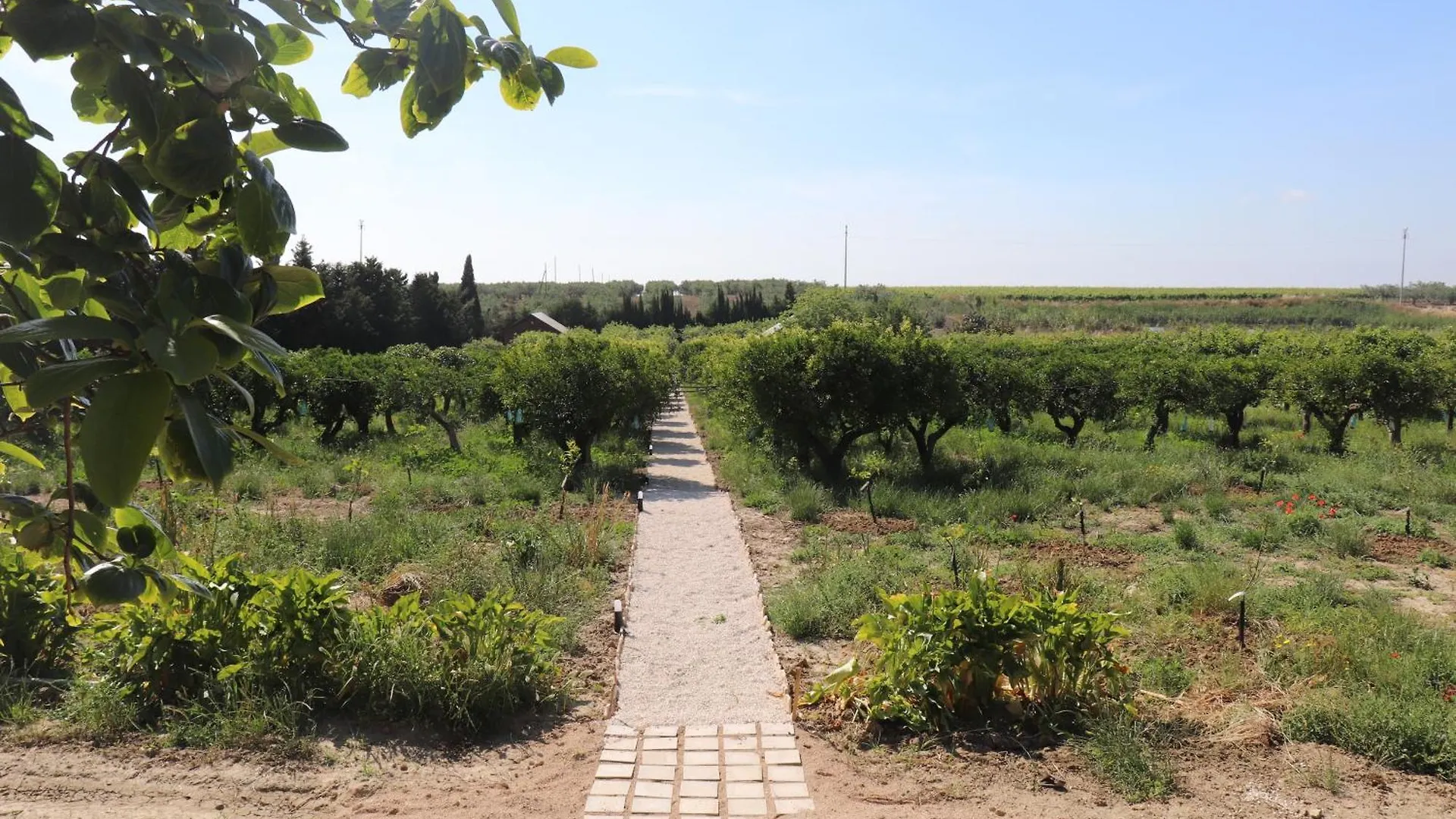 Agriturismo Vultaggio Villa Guarrato